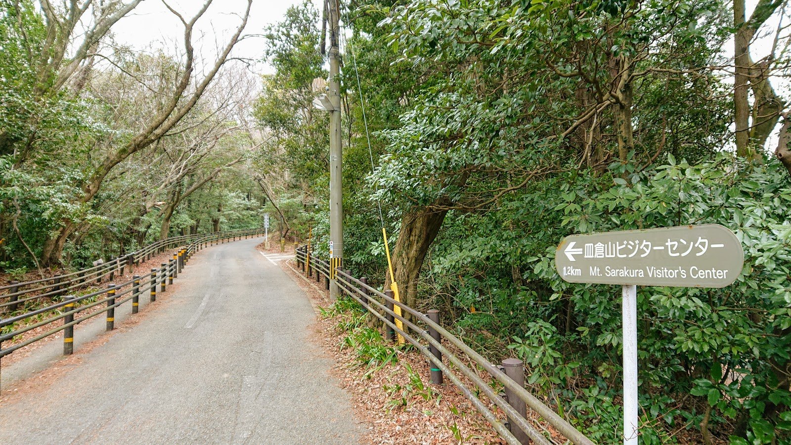 ⛰️ 사라쿠라 산(사라쿠라야마) 이미지 7